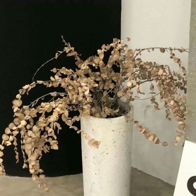 Furry绘画质感提升FurryQQ群